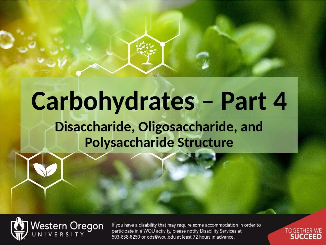 PPT-Carbohydrates – Part 4