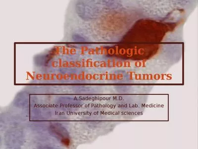 A.Sadeghipour  M.D. Associate Professor of Pathology and Lab. Medicine