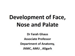 Development of Face, Nose and Palate