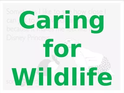 Caring for Wildlife What’s Going to be Covered?