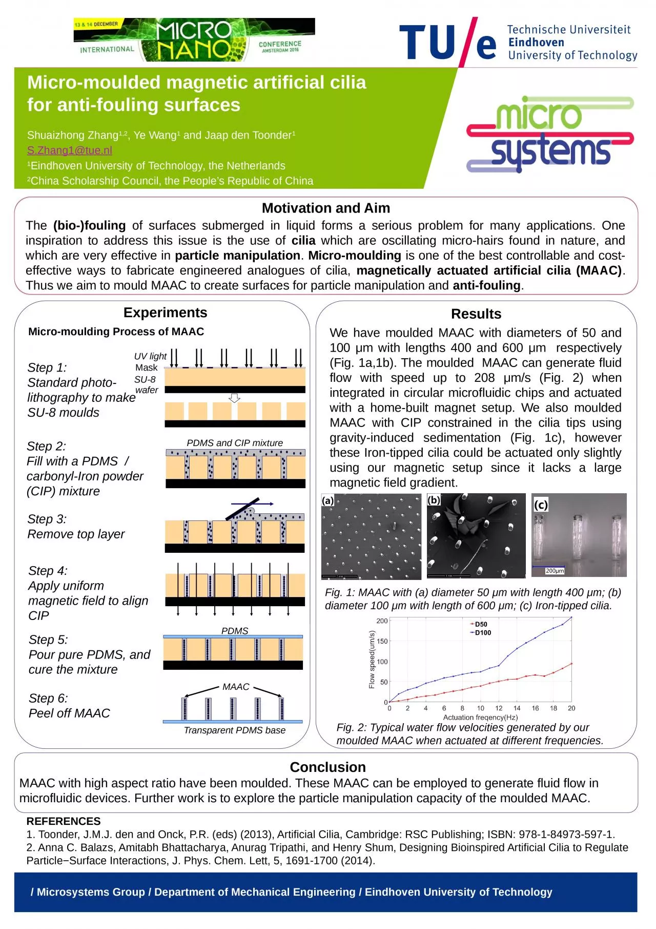 PPT-Micro-moulded magnetic artificial cilia