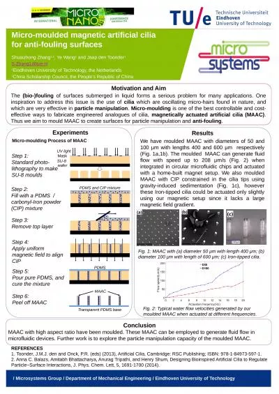 Micro-moulded  magnetic artificial cilia