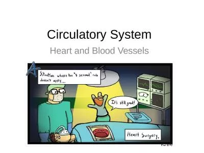 Circulatory  System H eart