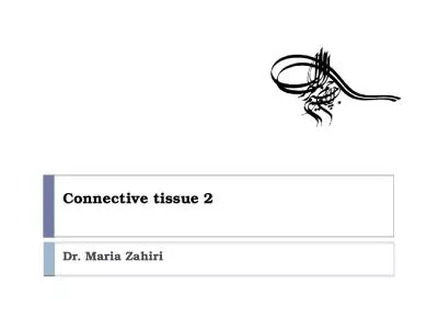 Connective tissue 2 Dr. Maria