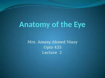 Anatomy of the Eye Mrs.