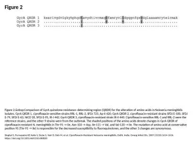 Figure 2 Figure 2.&nbsp;Comparison of GyrA quinolone-resistance–determining region