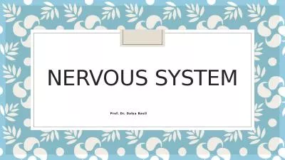 Nervous System                                                           Prof