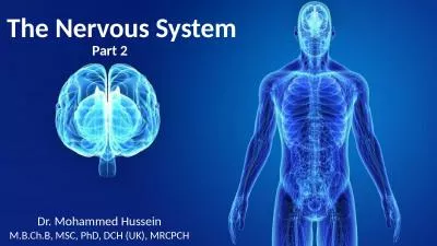 The Nervous System  Dr. Mohammed Hussein