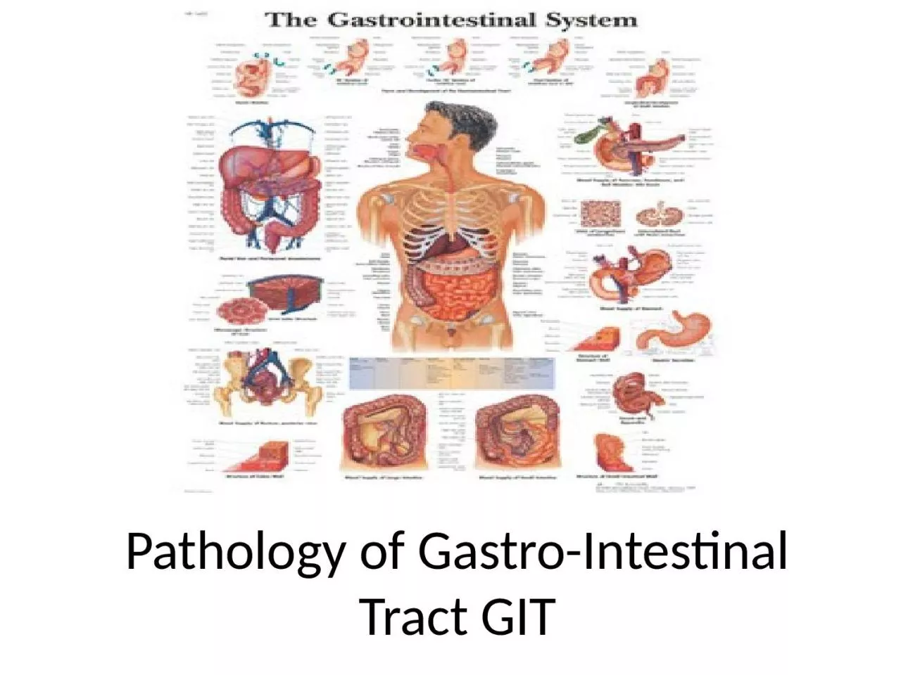 PPT-Pathology of Gastro-Intestinal Tract GIT