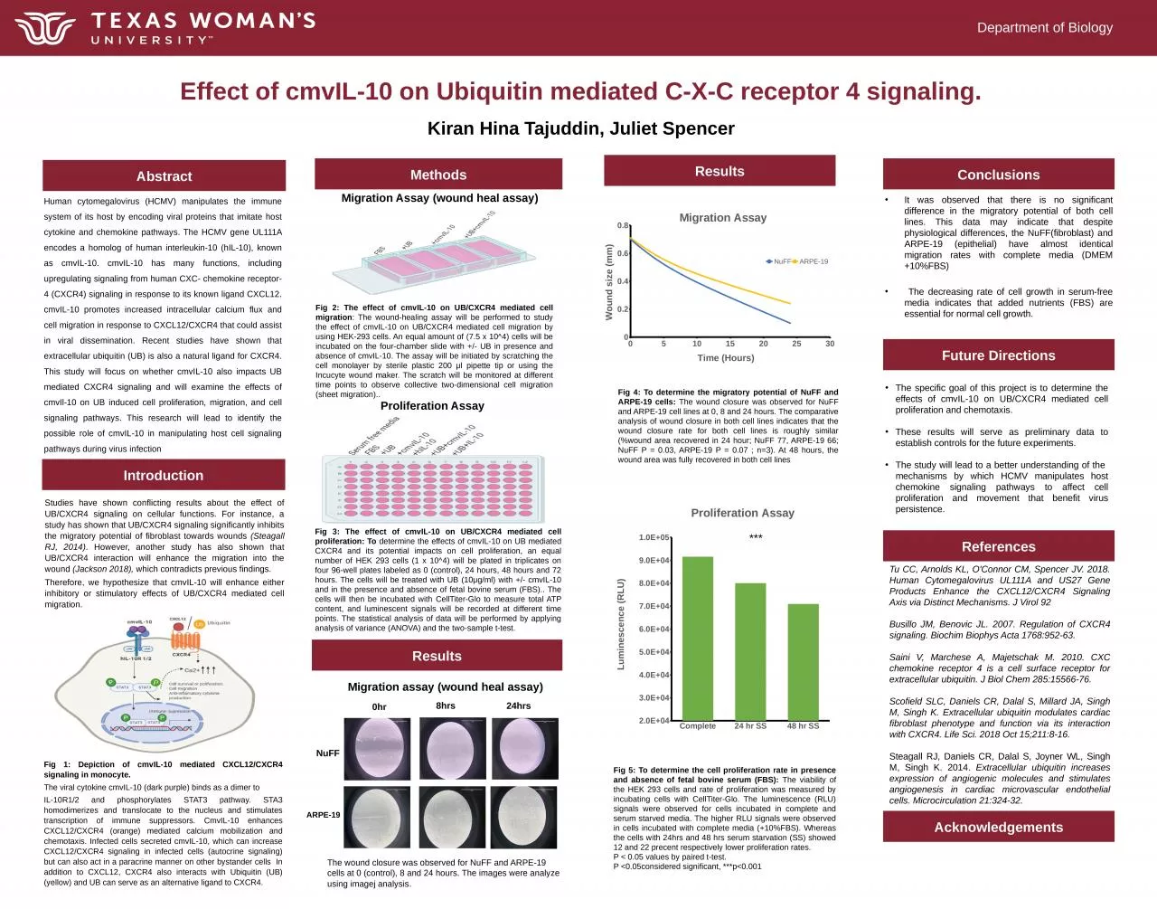 Effect of cmvIL-10 on Ubiquitin mediated C-X-C receptor 4 signaling.