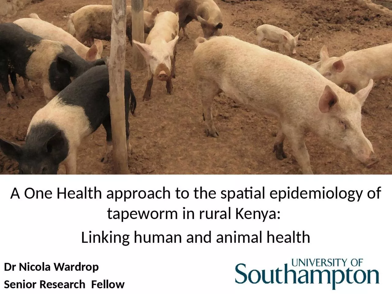 PPT-A One Health approach to the spatial epidemiology of tapeworm