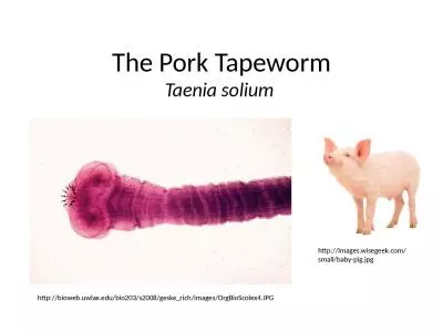 The Pork Tapeworm Taenia