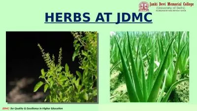 HERBS AT JDMC SCIENTIFIC NAME