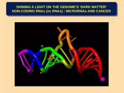 SHINING A LIGHT ON THE GENOME’S ‘DARK MATTER’