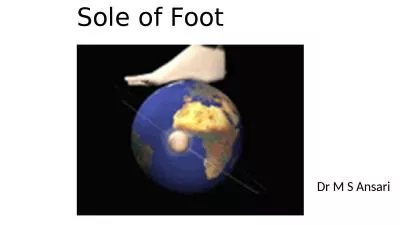 Sole of Foot Dr M S Ansari
