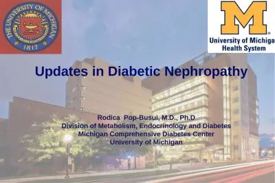 Updates in  Diabetic Nephropathy