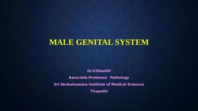 MALE GENITAL SYSTEM Dr.V.Shanthi