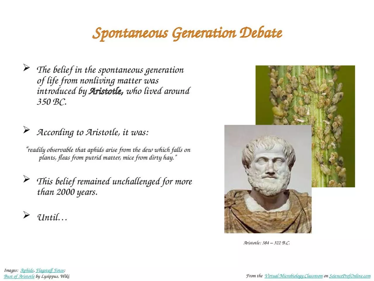 PPT-Spontaneous Generation Debate