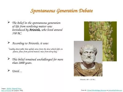 Spontaneous Generation Debate