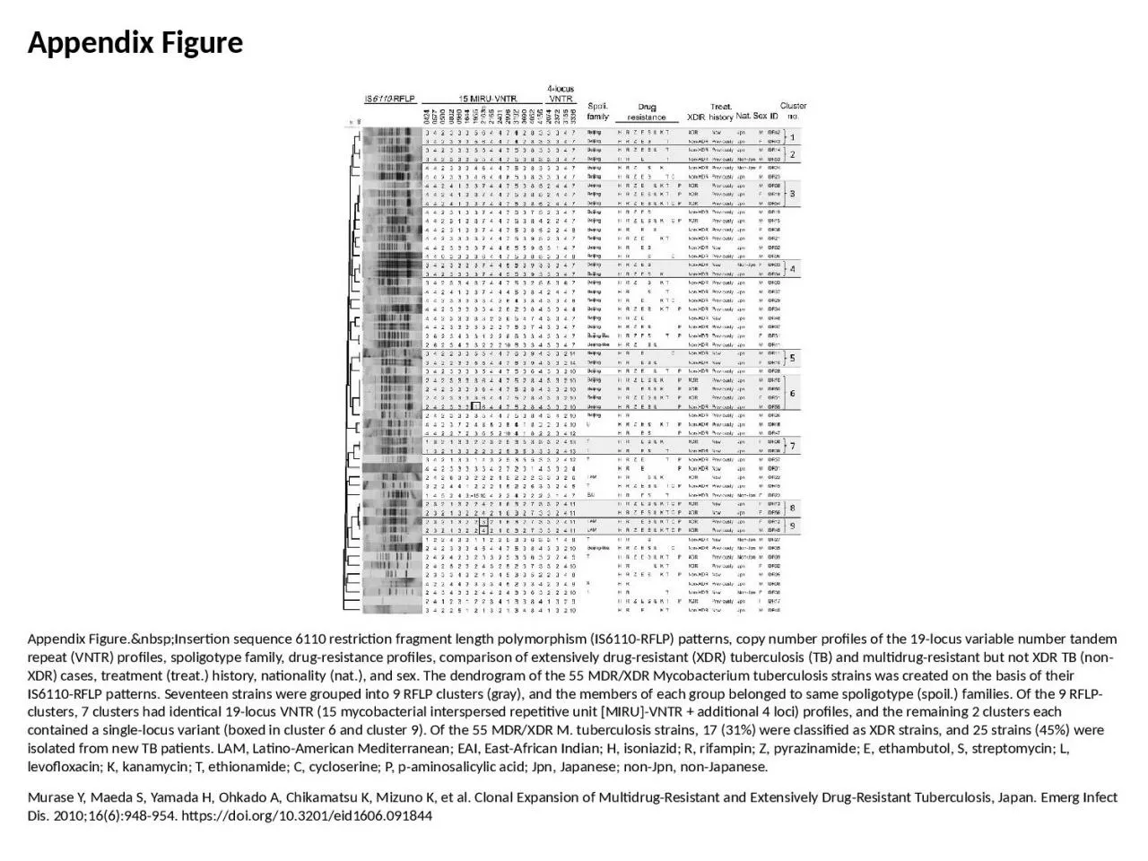 PPT-Appendix Figure Appendix Figure.&nbsp;Insertion sequence 6110 restriction fragment