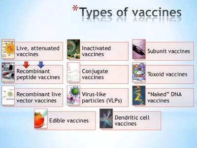 An inactivated/killed vaccine is a vaccine consisting of either whole viruses or bacteria, or fract