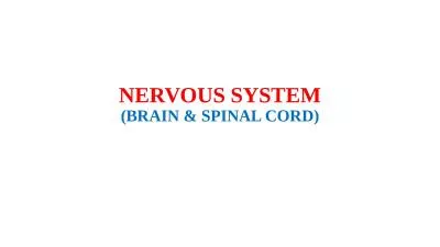 NERVOUS SYSTEM (BRAIN & SPINAL CORD)
