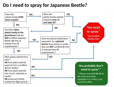 Do I need to  spray for Japanese Beetle?