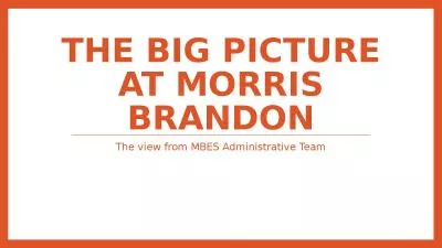 The big picture at Morris Brandon