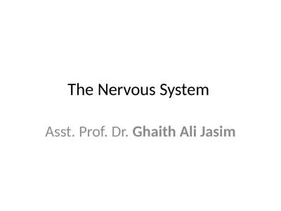 The Nervous System  Asst. Prof. Dr.