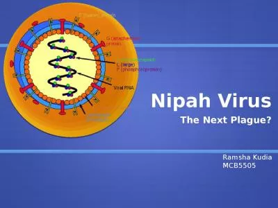 Nipah Virus The Next Plague?