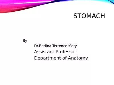 STOMACH  			By 					 Dr.Berlina