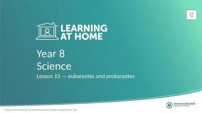 Year 8 Lesson 13 — eukaryotes and prokaryotes