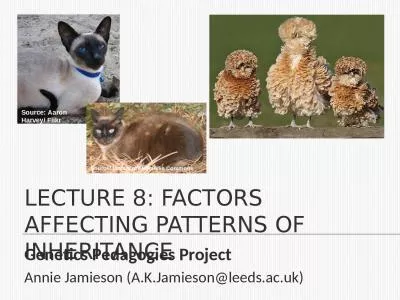 Lecture 8: factors affecting patterns of inheritance