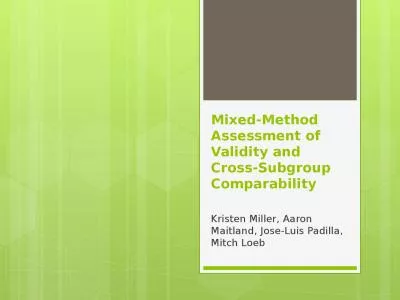 Mixed-Method  Assessment of Validity and Cross-Subgroup