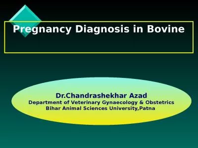 Pregnancy Diagnosis in Bovine