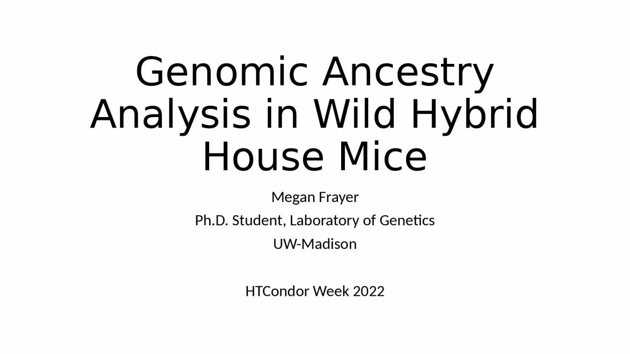 Genomic Ancestry Analysis in Wild Hybrid House Mice