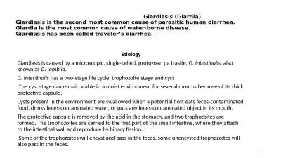 Giardiasis (Giardia)