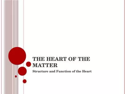 The Heart of the Matter Structure and Function of the Heart