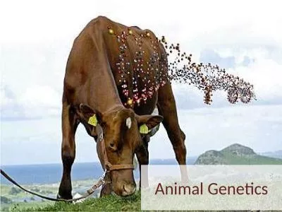 Animal Genetics Genetics