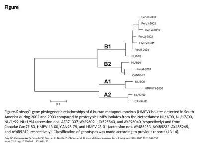 Figure Figure.&nbsp;G-gene phylogenetic relationships of 6 human metapneumovirus (HMPV) isolate