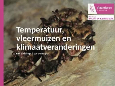 Temperatuur, vleermuizen en klimaatveranderingen