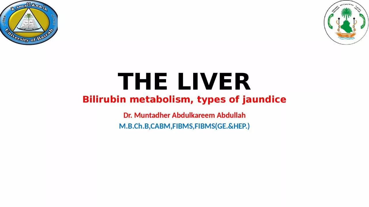 PPT-THE LIVER Bilirubin metabolism, types of jaundice