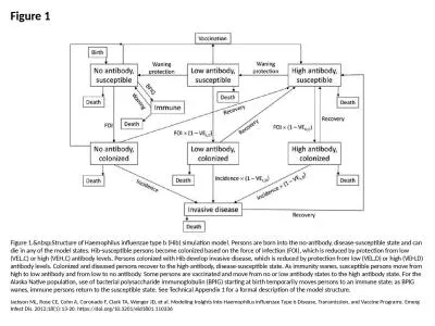 Figure 1 Figure 1.&nbsp;Structure of Haemophilus influenzae type b (Hib) simulation model. Pers