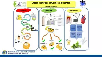 Problem Approach Outcomes