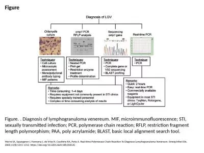 Figure Figure. . Diagnosis of lymphogranuloma venereum. MIF, microimmunofluorescence;