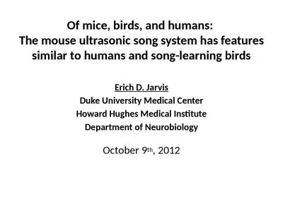 Of mice, birds, and humans: