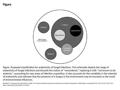 Figure Figure. Proposed classification for endemicity of fungal infections. This schematic