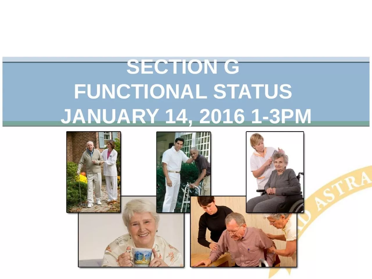 Section G  Functional status