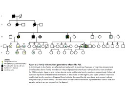 PPT-Legend: C9orf72 expansion