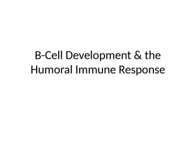 B-Cell Development & the